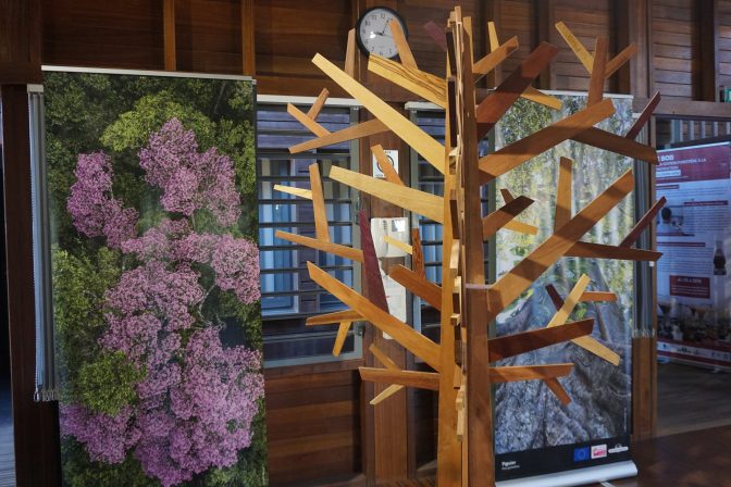 Exposition bois MFBG 4