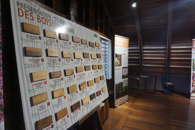 Exposition bois MFBG 3