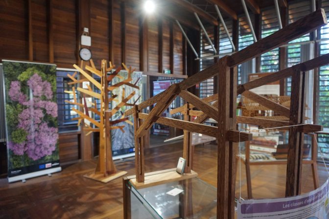 Exposition bois MFBG 2