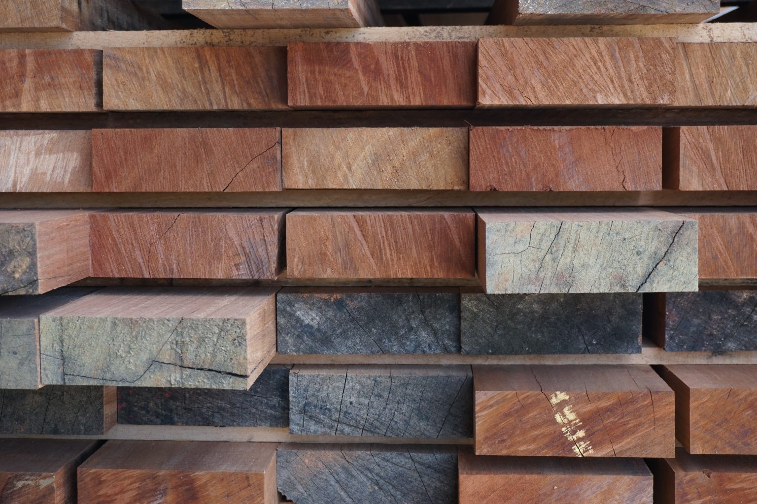 Avivés angélique guyane scierie