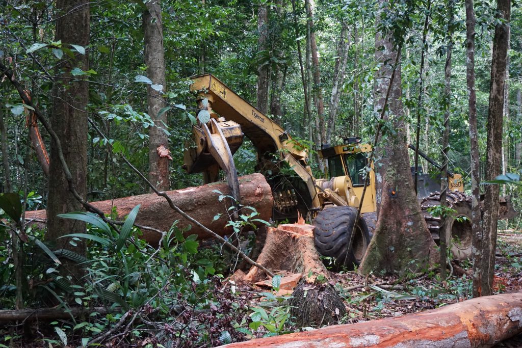 Exploitation forestière guyane 1 Skidder