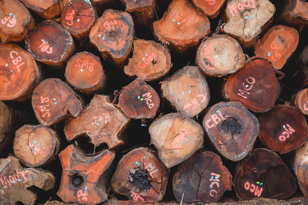 Stock de grumes guyane