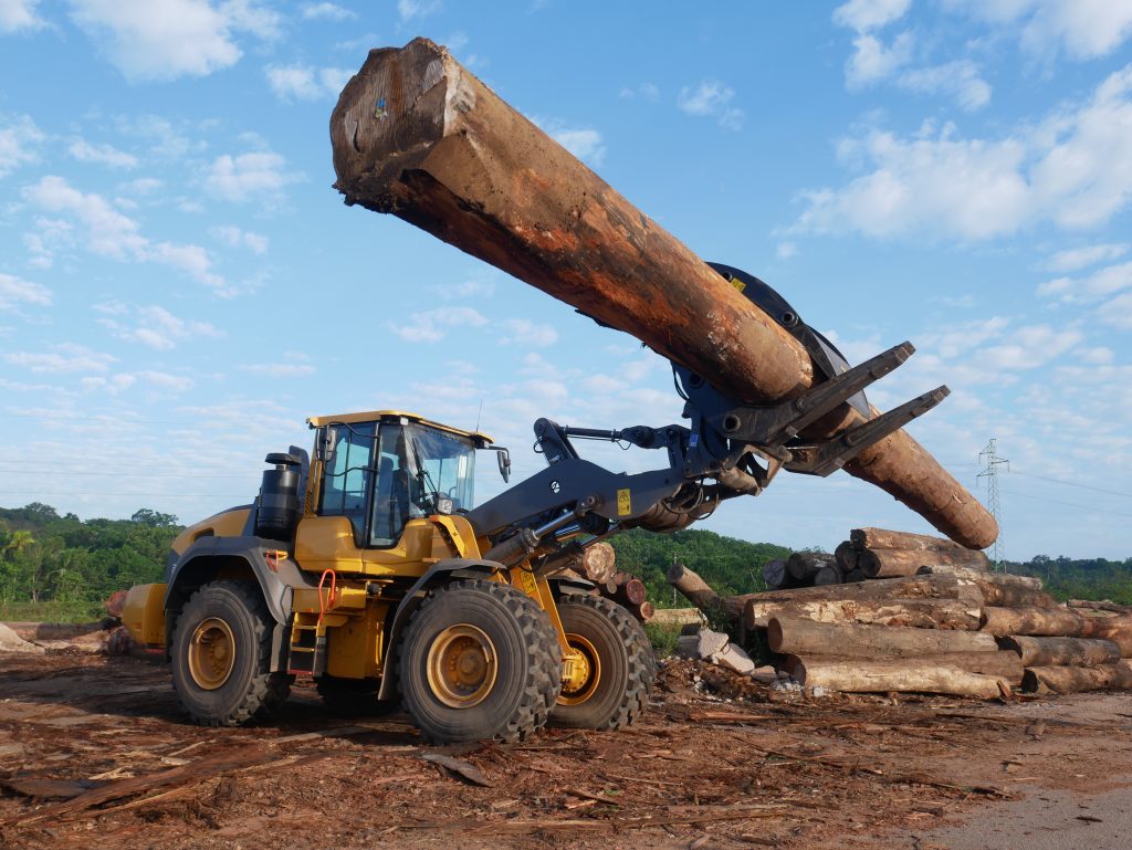 Chargeuse grume scierie Guyane