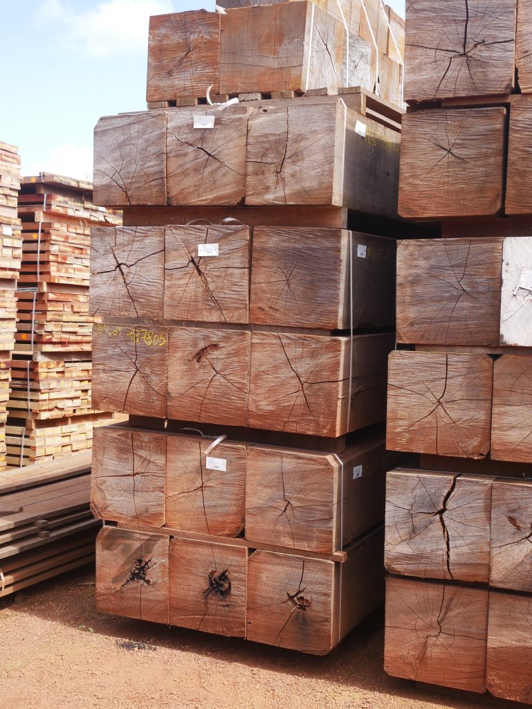 Grumes équarries guyane