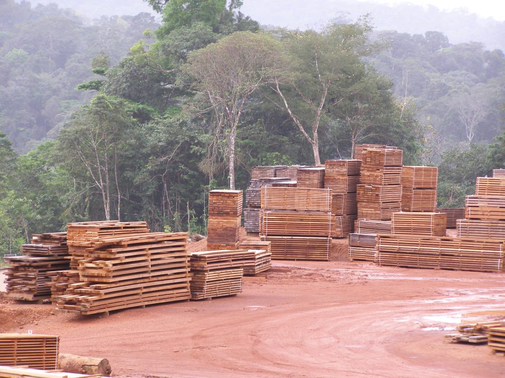 Sciages bois guyanais parc