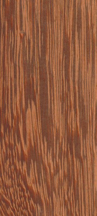 Saint Martin Rouge Dosse