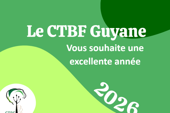 Meilleurs voeux 2026